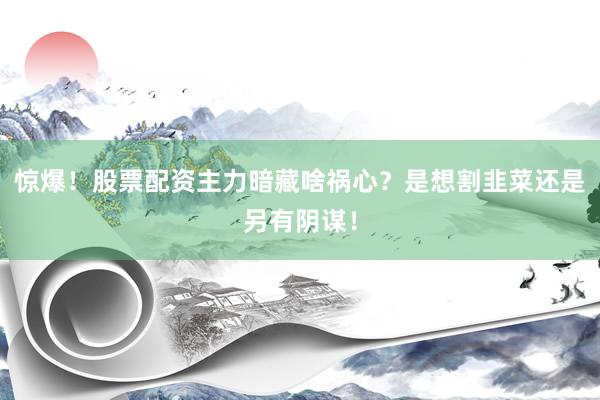 惊爆！股票配资主力暗藏啥祸心？是想割韭菜还是另有阴谋！
