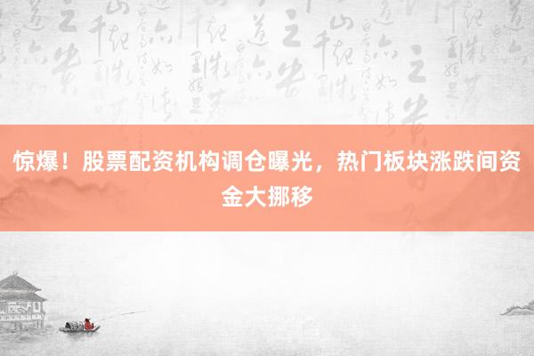 惊爆！股票配资机构调仓曝光，热门板块涨跌间资金大挪移