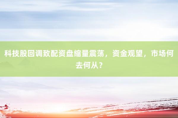 科技股回调致配资盘缩量震荡，资金观望，市场何去何从？