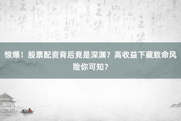 惊爆!股票配资背后竟是深渊?高收益下藏致命风险你可知?