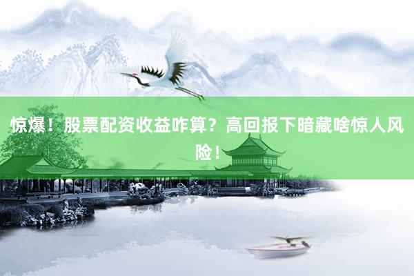 惊爆！股票配资收益咋算？高回报下暗藏啥惊人风险！