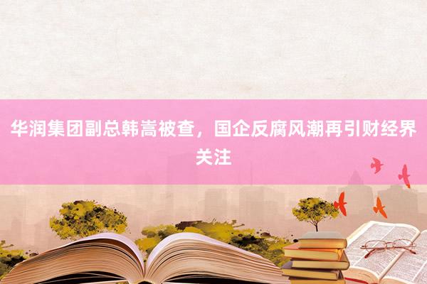 华润集团副总韩嵩被查，国企反腐风潮再引财经界关注