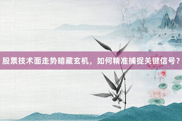 股票技术面走势暗藏玄机，如何精准捕捉关键信号？