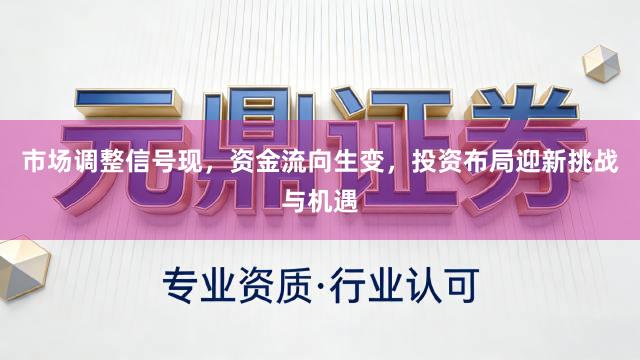 市场调整信号现,资金流向生变,投资布局迎新挑战与机遇