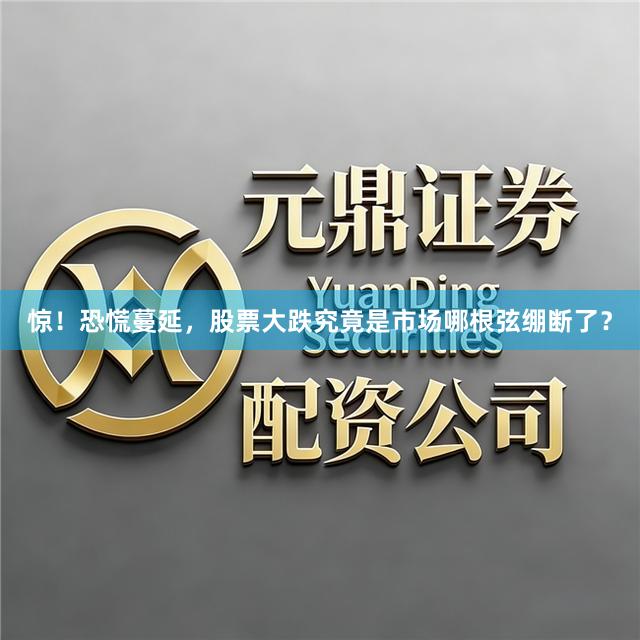惊！恐慌蔓延，股票大跌究竟是市场哪根弦绷断了？