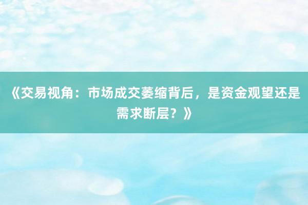 《交易视角：市场成交萎缩背后，是资金观望还是需求断层？》