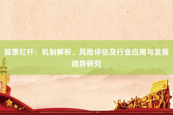 股票杠杆：机制解析、风险评估及行业应用与发展趋势研究