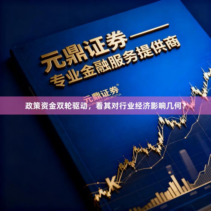 政策资金双轮驱动，看其对行业经济影响几何？