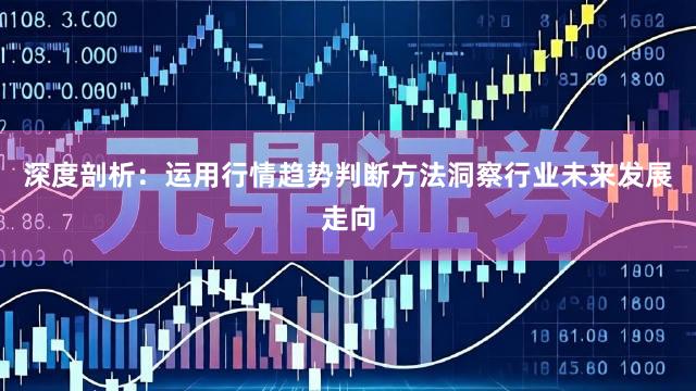 深度剖析：运用行情趋势判断方法洞察行业未来发展走向
