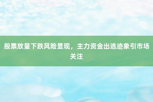 股票放量下跌风险显现，主力资金出逃迹象引市场关注