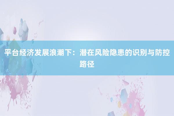 平台经济发展浪潮下:潜在风险隐患的识别与防控路径