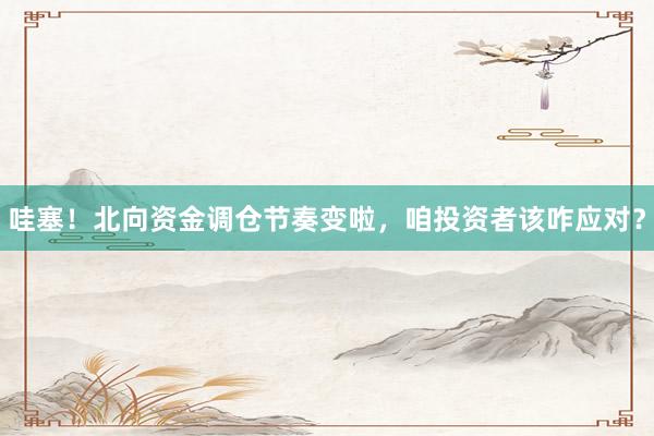 哇塞！北向资金调仓节奏变啦，咱投资者该咋应对？
