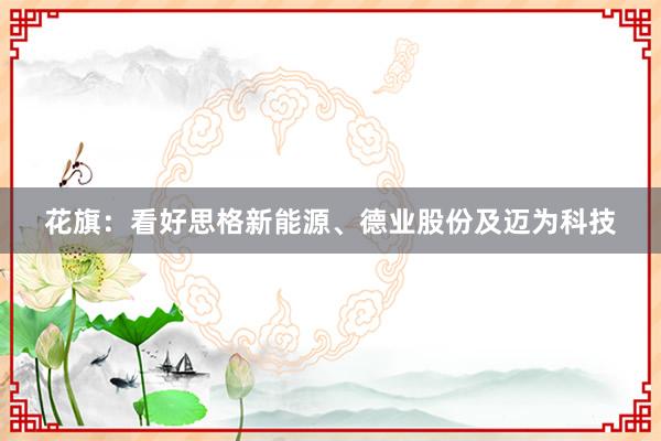 花旗：看好思格新能源、德业股份及迈为科技
